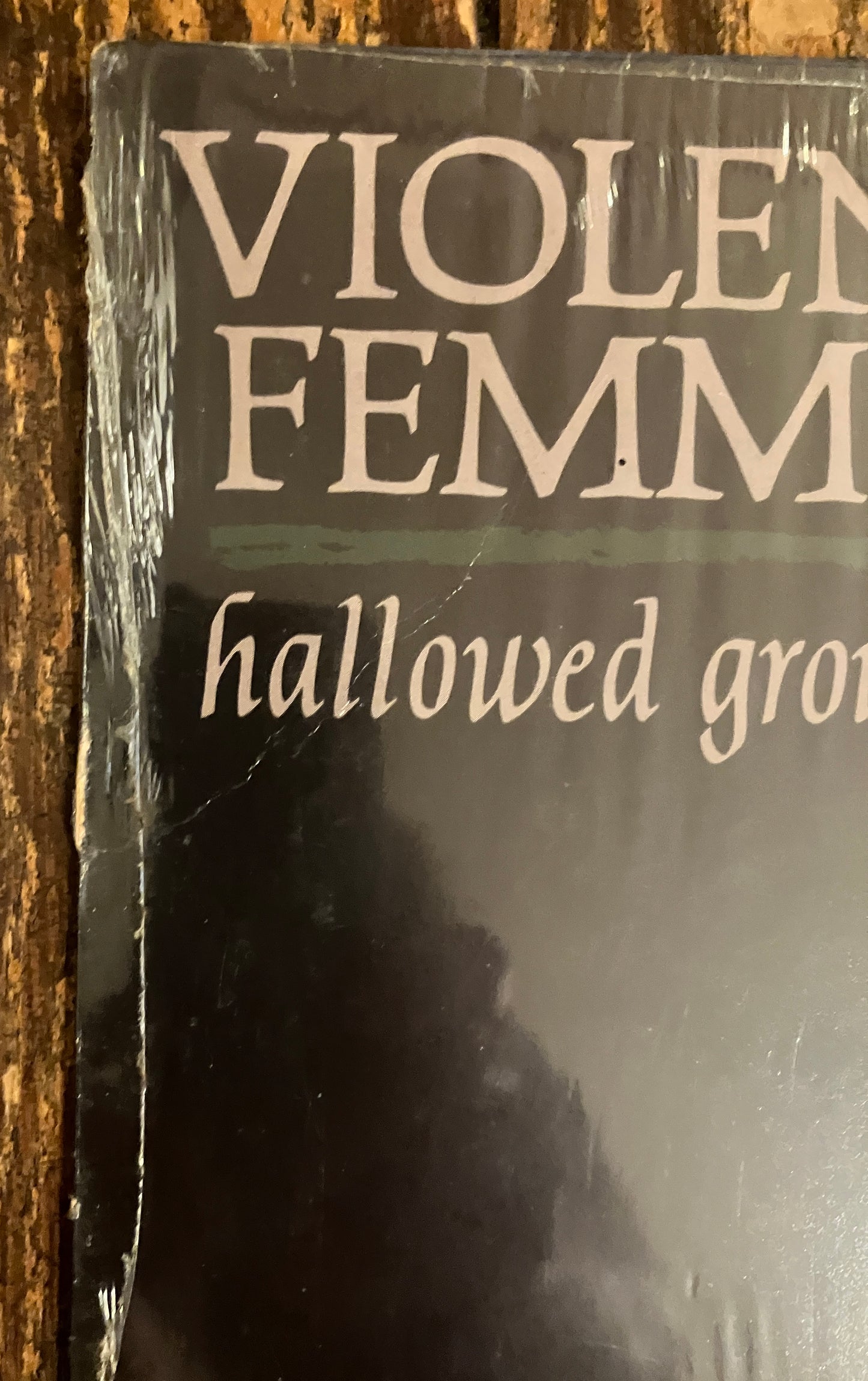 VIOLENT FEMMES "Hallowed Ground"