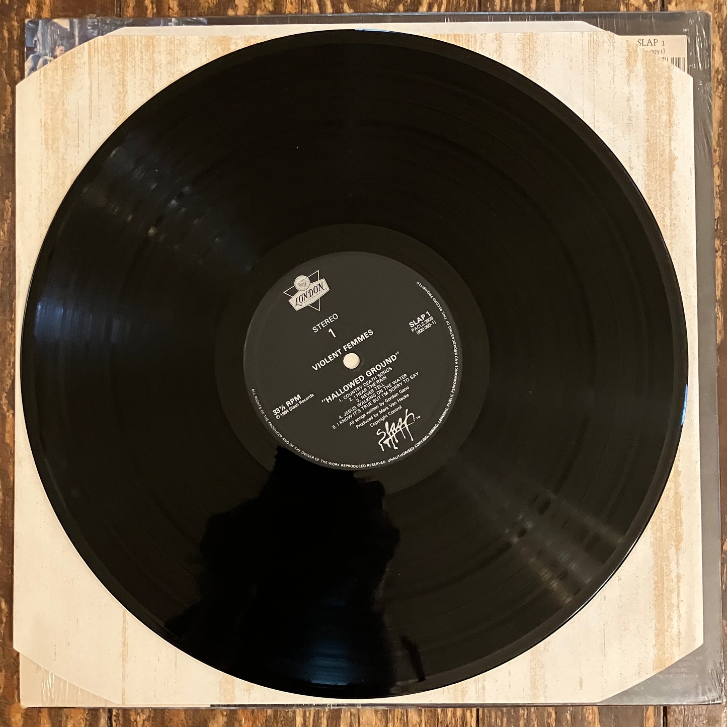 VIOLENT FEMMES "Hallowed Ground"