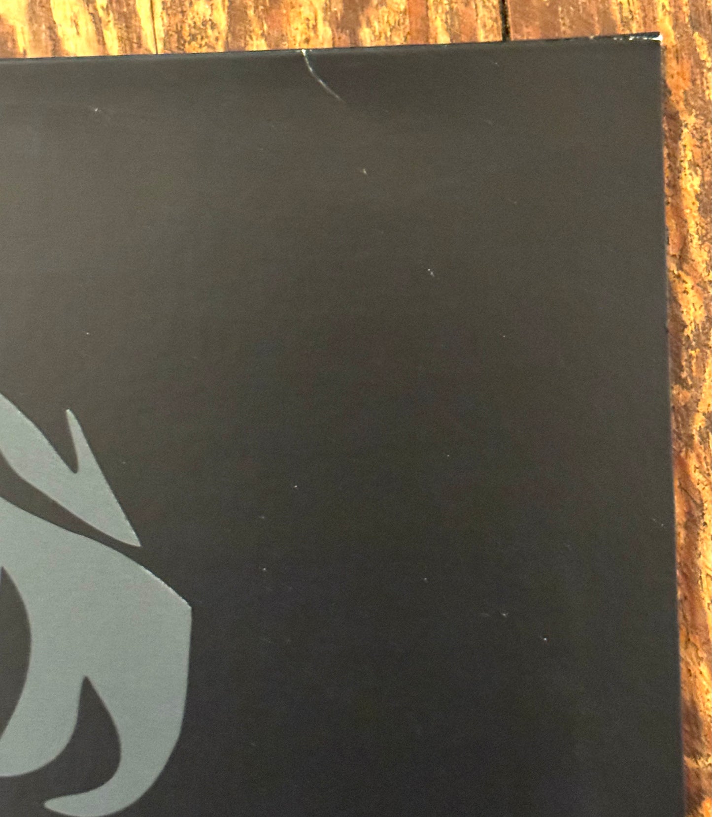 HOT WATER MUSIC "Live In Chicago" FEST 11 VERSION