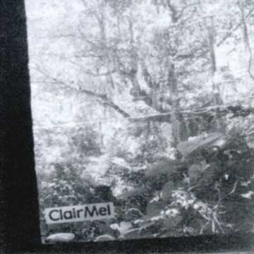 CLAIRMEL "Part Dipshit"