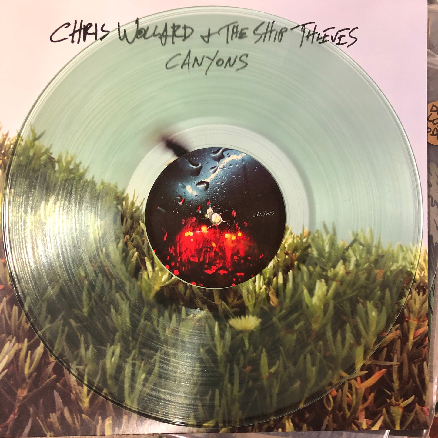 CHRIS WOLLARD & THE SHIP THIEVES "Canyons"