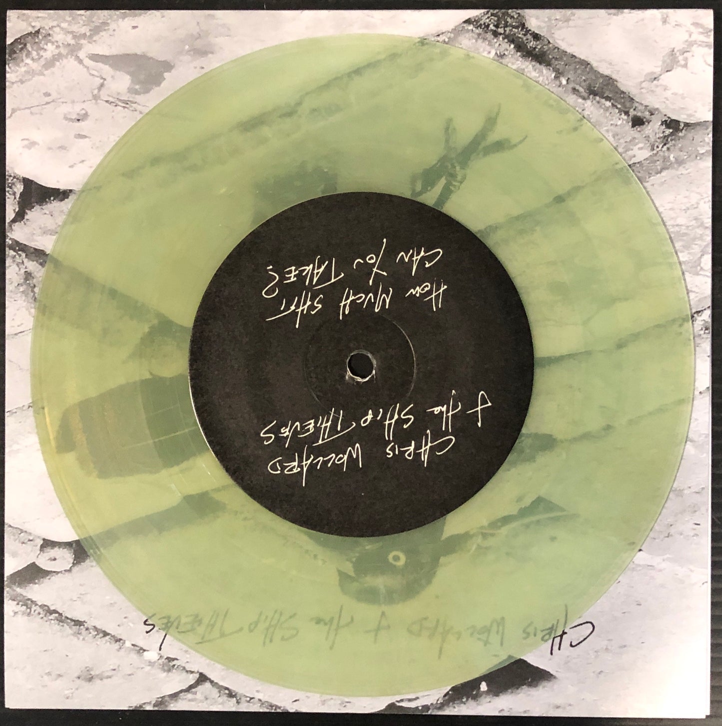 CHRIS WOLLARD & THE SHIP THIEVES "How Much Shit Can You Take? / Aliens"