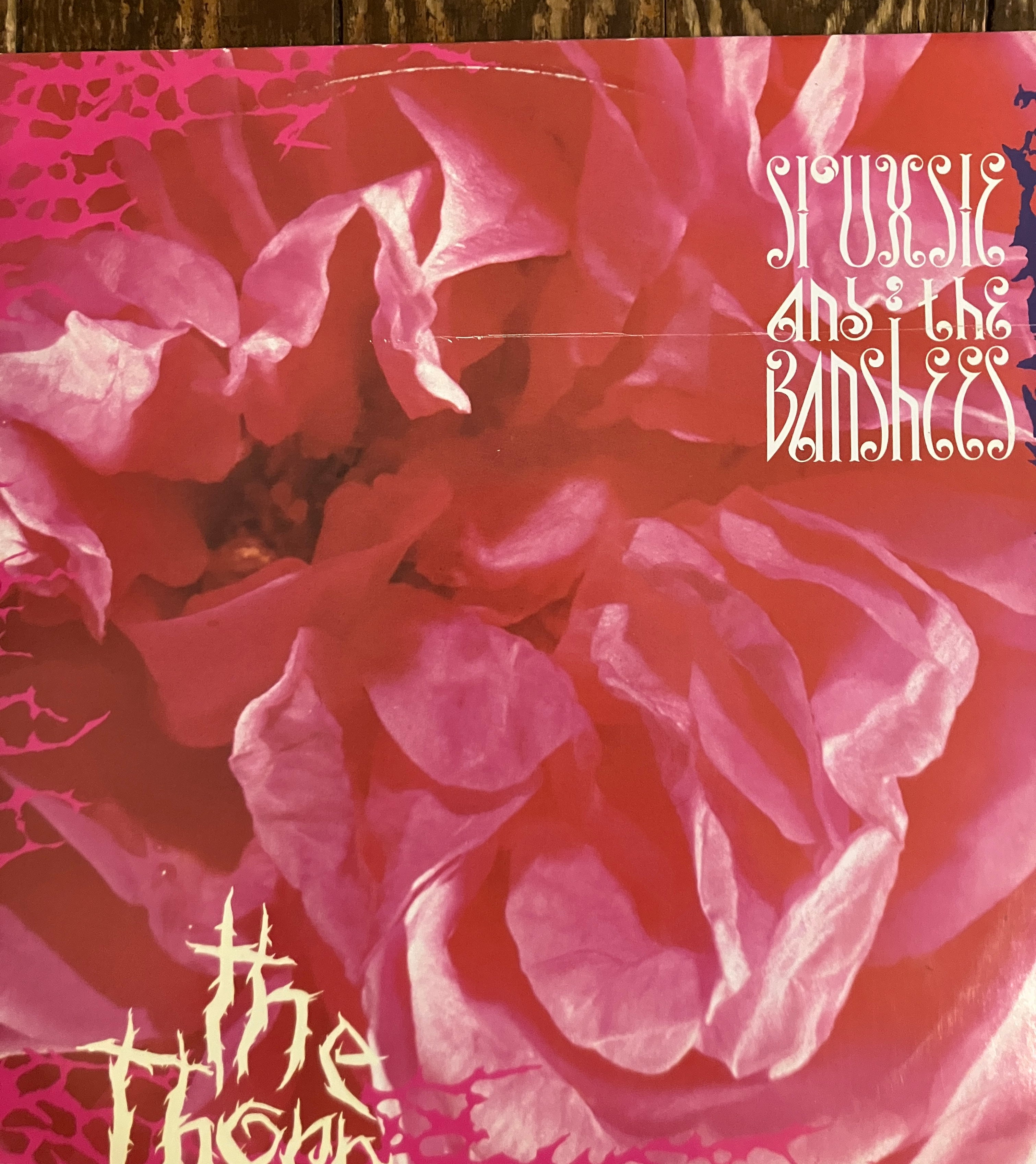 SIOUXSIE AND THE BANSHEES 