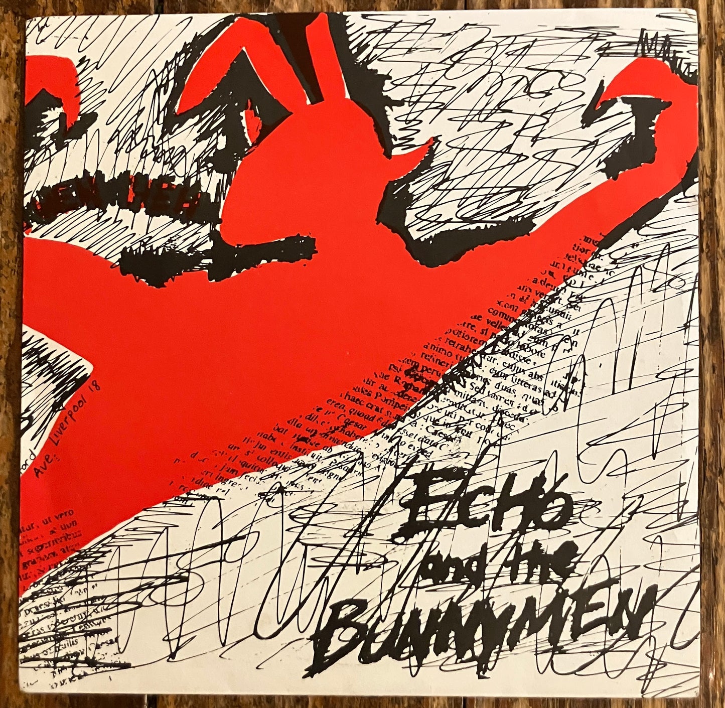 ECHO AND THE BUNNYMEN "The Pictures on My Wall"