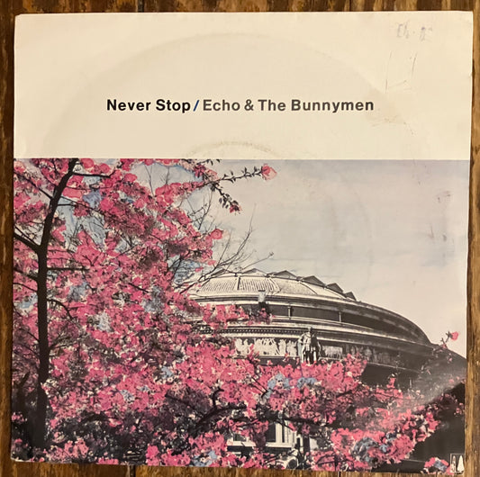 ECHO AND THE BUNNYMEN "Never Stop" b/w "Heads Will Roll"