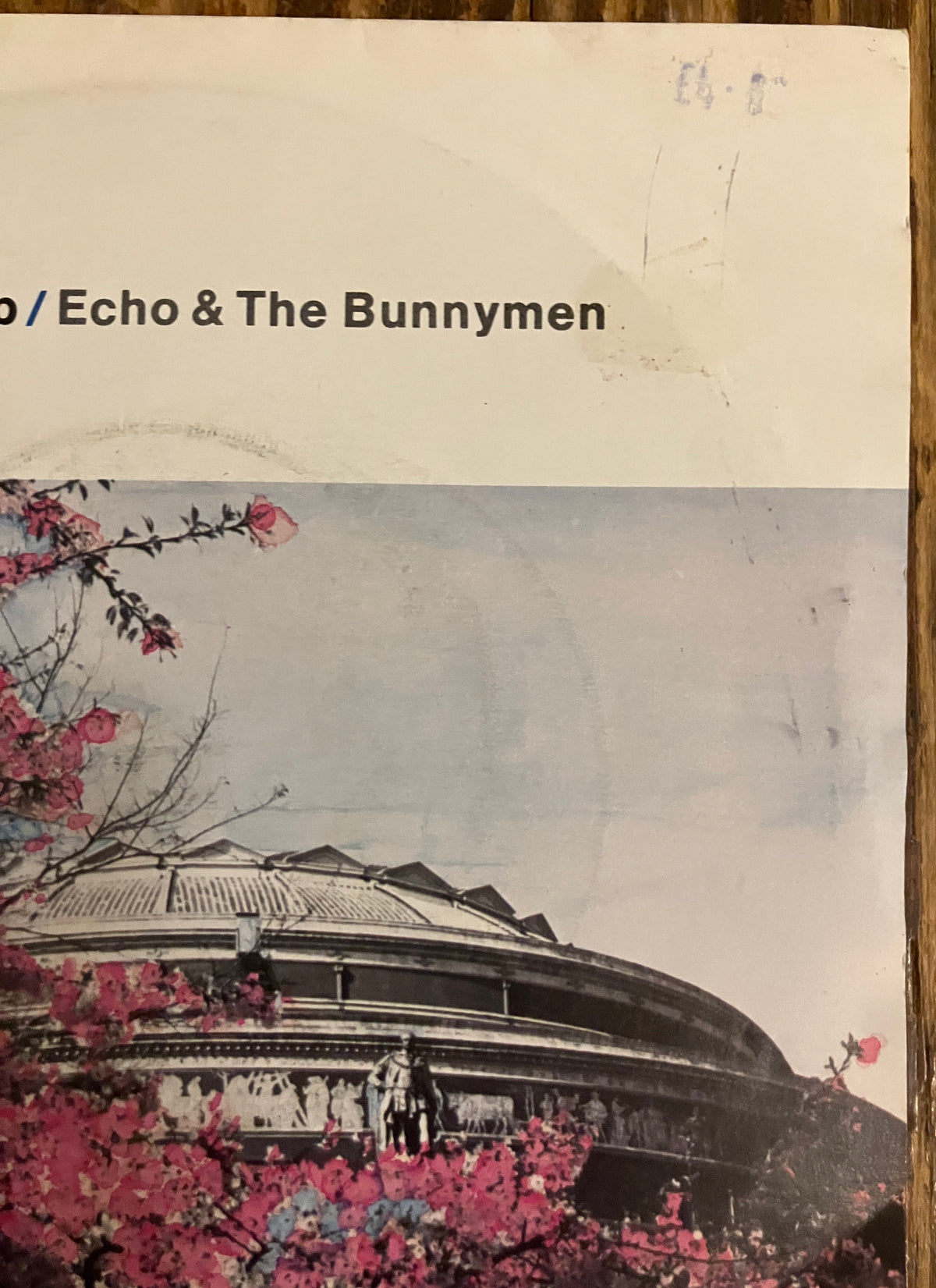 ECHO AND THE BUNNYMEN "Never Stop" b/w "Heads Will Roll"