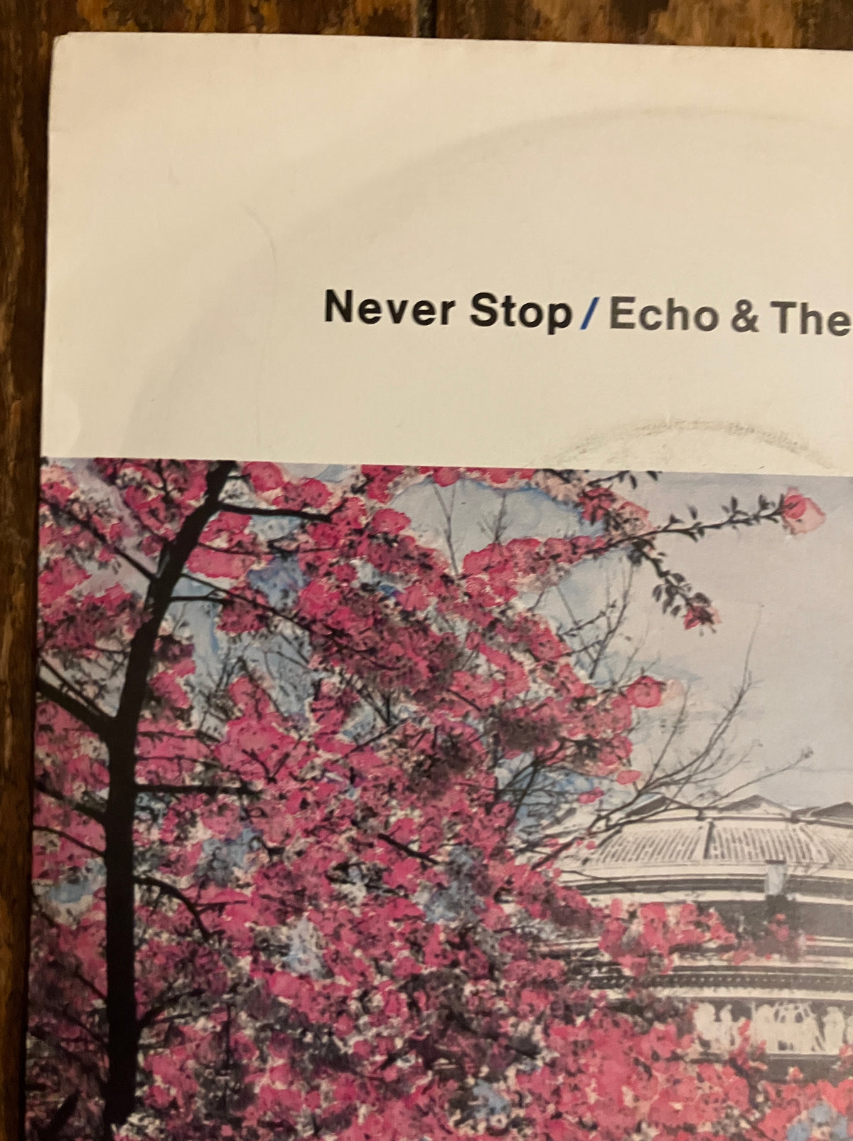 ECHO AND THE BUNNYMEN "Never Stop" b/w "Heads Will Roll"